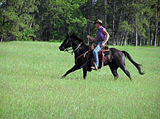 USA-Wyoming-New Haven Ranch